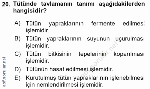 Soru 20