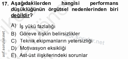 Soru 17