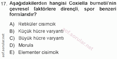 Soru 17