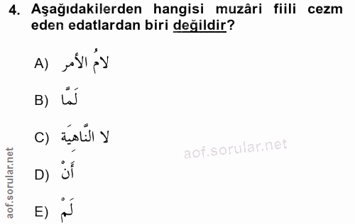 Soru 4