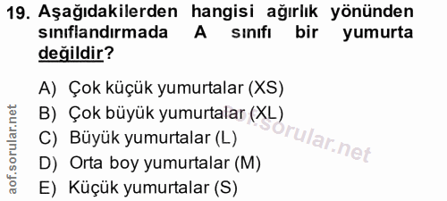 Soru 19
