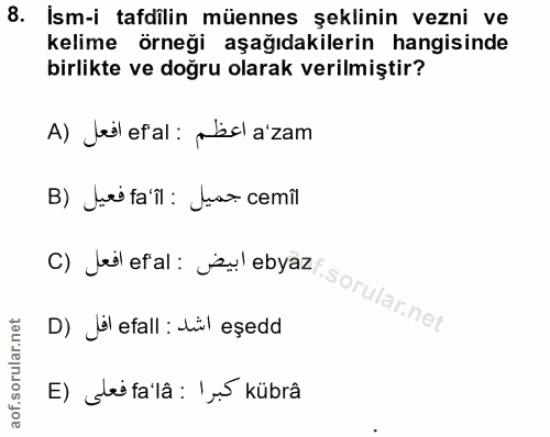 Soru 8