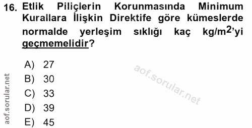 Soru 16