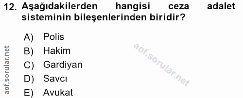 Soru 12