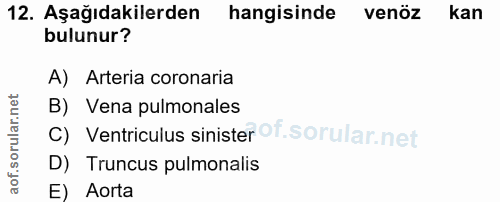 Soru 12