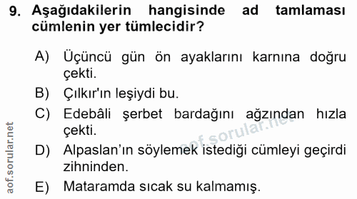 Soru 9