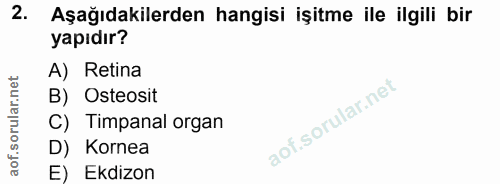 Soru 2