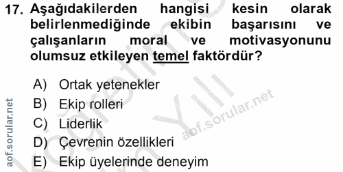Soru 17