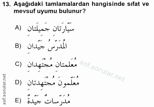 Soru 13