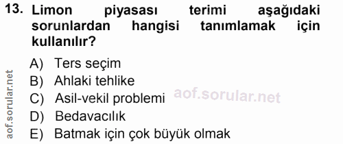 Soru 13