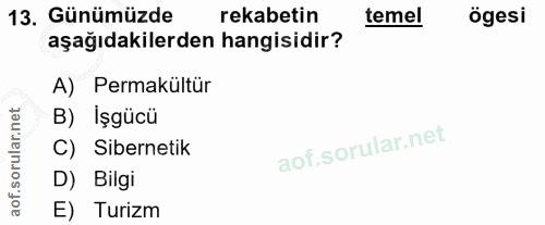 Soru 13