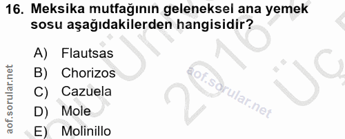 Soru 16