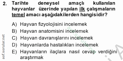 Soru 2