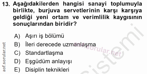 Soru 13