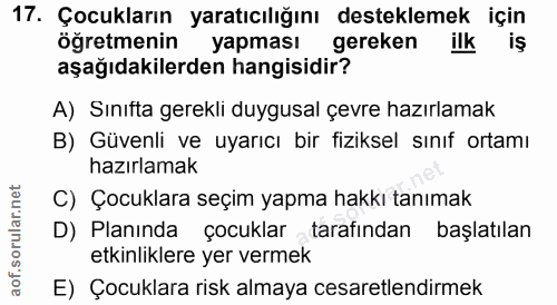 Soru 17