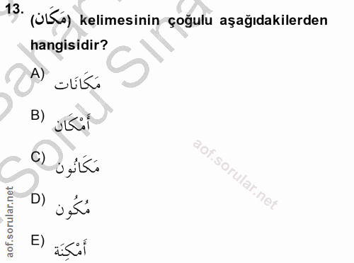 Soru 13