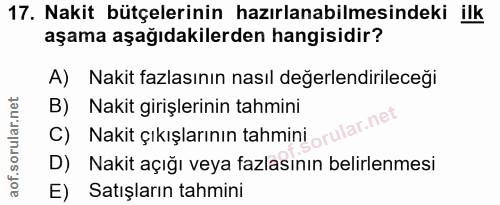 Soru 17