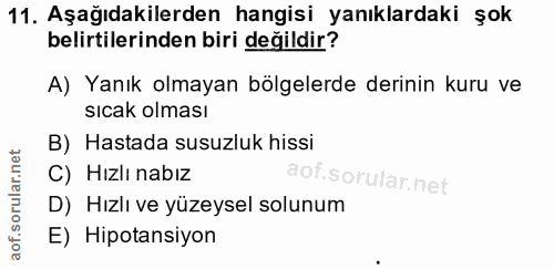 Soru 11