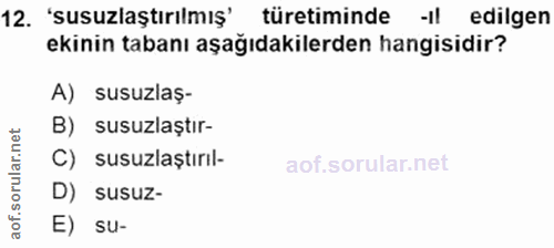 Soru 12
