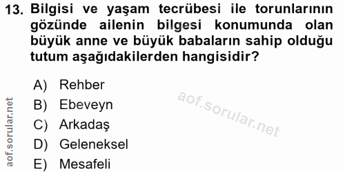 Soru 13