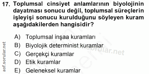 Soru 17