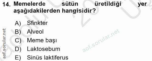 Soru 14
