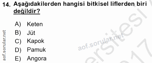Soru 14