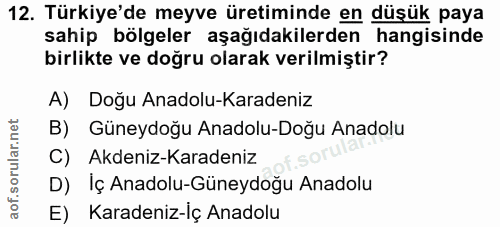 Soru 12