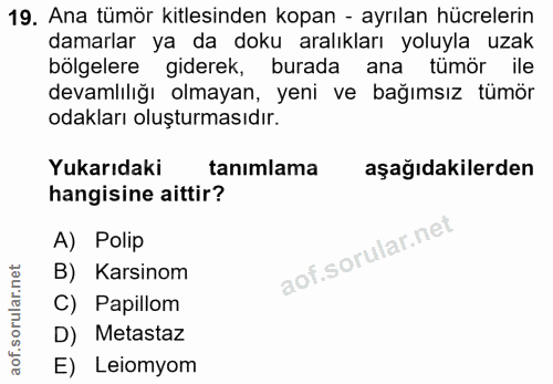 Soru 19