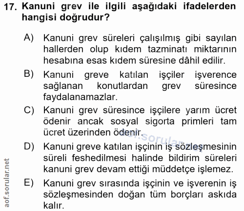 Soru 17