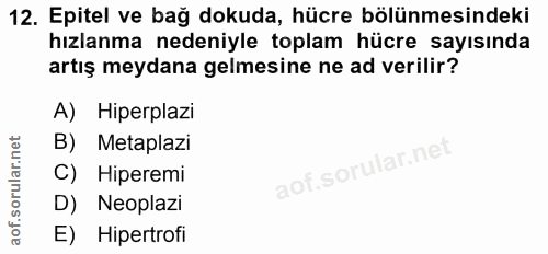 Soru 12