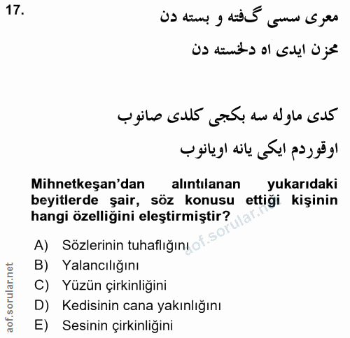 Soru 17