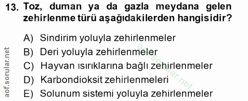 Soru 13