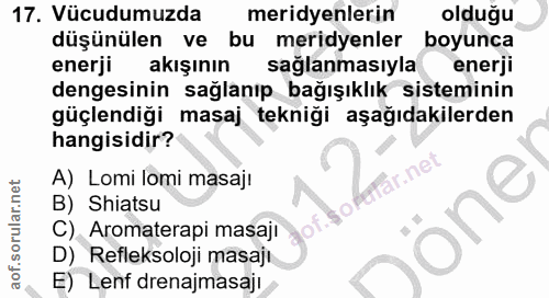 Soru 17
