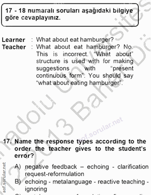Soru 17
