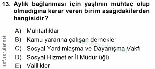 Soru 13