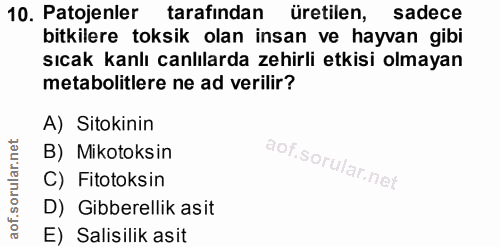 Soru 10