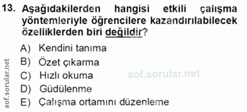 Soru 13