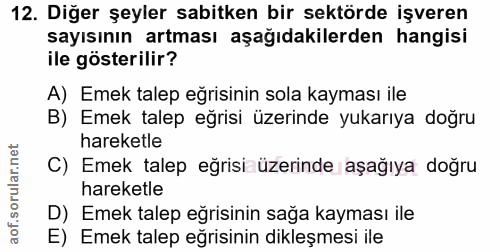 Soru 12