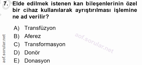 Soru 7