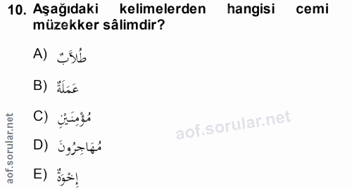 Soru 10