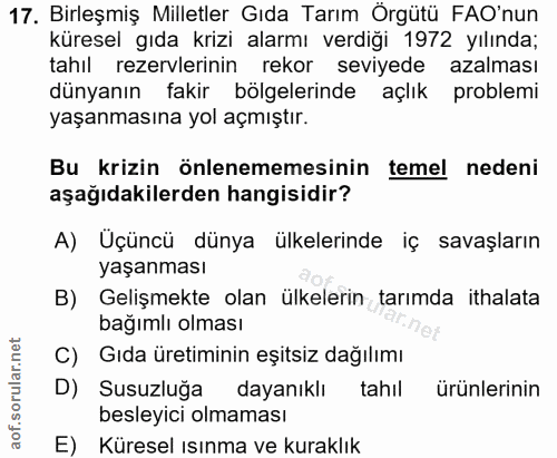 Soru 17