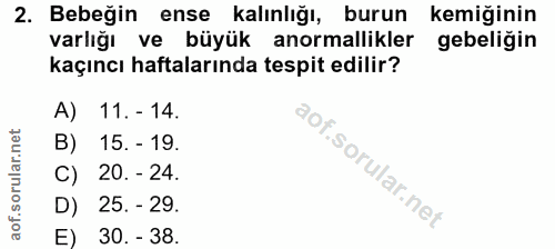 Soru 2