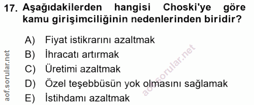 Soru 17