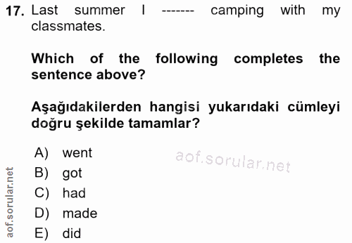 Soru 17