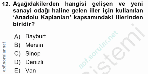 Soru 12