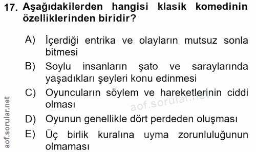 Soru 17