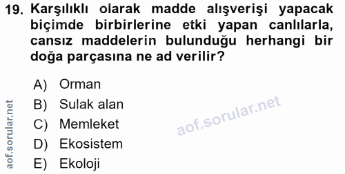 Soru 19