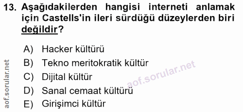 Soru 13