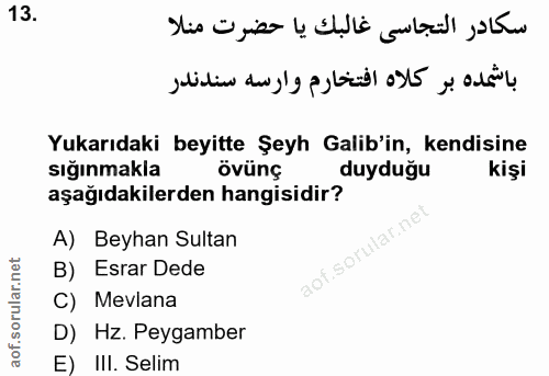 Soru 13